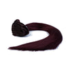 MANETINI CLIP-IN HAIR EXTENSION (#99J) MULLED WINE - Manetini